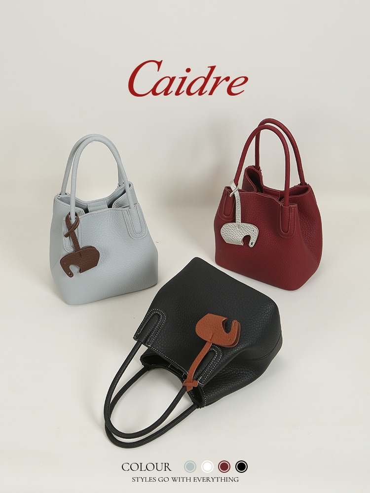 Caidre Luxury Tote Bag 2026 Ne - Luxury Bags In Japan 评论和价格